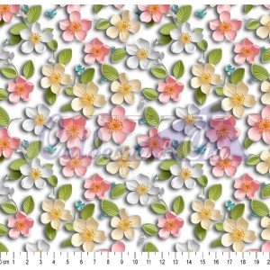 Liz cor 01 (Est. Digital 3D) 